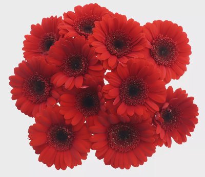 Букет гербери 