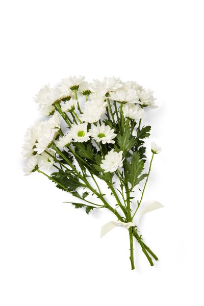 Букет хризантеми 3 хризантеми в букет